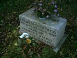 image of grave number 167011